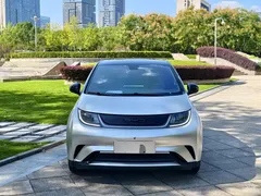2023 BYD Dolphin 420km Fashion — фото 2