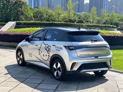 2023 BYD Dolphin 420km Fashion — фото 15