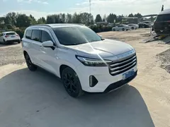 2021 Exeed VX 390T 2WD, белый — фото 3