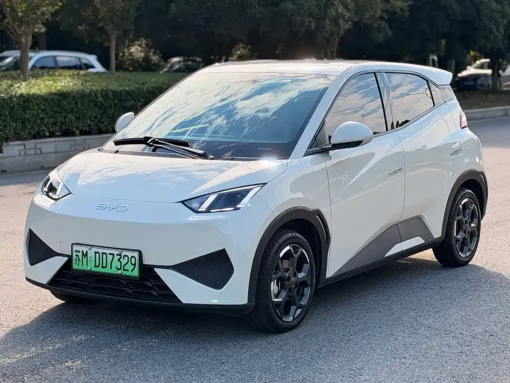 2025 BYD Seagull Smart Driving 405km Freedom