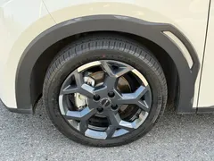2025 BYD Seagull Smart Driving 405km Freedom, белый — фото 11