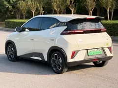 2025 BYD Seagull Smart Driving 405km Freedom, белый — фото 13