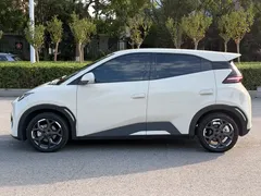 2025 BYD Seagull Smart Driving 405km Freedom, белый — фото 14