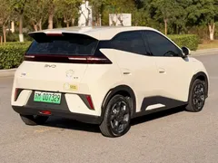 2025 BYD Seagull Smart Driving 405km Freedom, белый — фото 15