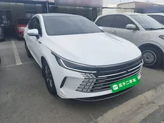 2024 BYD Destroyer 05 DM-i PHEV 55km Luxury, белый — фото 4