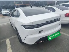 2024 BYD Destroyer 05 DM-i PHEV 55km Luxury, белый — фото 5