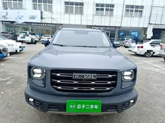 2022 Haval Dargo 1.5T DCT 2WD Labrador — фото 3