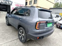 2022 Haval Dargo 1.5T DCT 2WD Labrador — фото 5