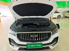 2021 Geely Monjaro 2.0TD High Power AT 4WD Premium, белый — фото 20