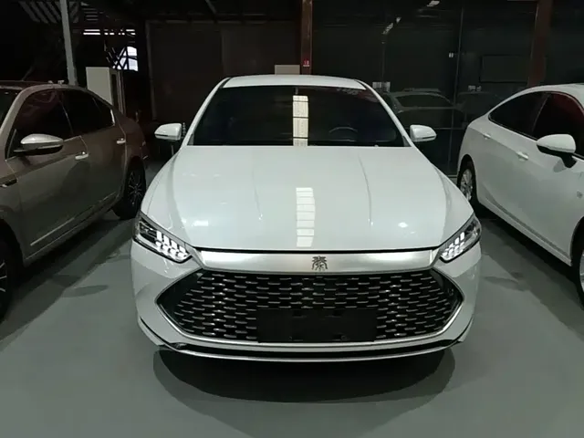 2024 BYD Qin PLUS Honor DM-i PHEV 55km Leading