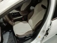2024 BYD Qin PLUS Honor DM-i PHEV 55km Leading, белый — фото 15