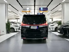 2020 Lexus LM 300h 4, чёрный — фото 6