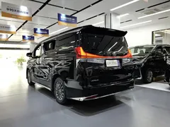 2020 Lexus LM 300h 4, чёрный — фото 7