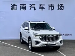 2022 Haval H9 2.0T 4WD Premium 5, белый — фото 3