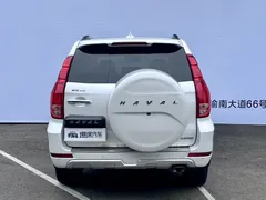 2022 Haval H9 2.0T 4WD Premium 5, белый — фото 29