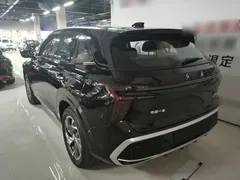 2025 Hongqi HS3 PHEV 117km, чёрный — фото 5