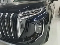 2024 Hongqi HS7 2.0T PHEV 4WD 6, чёрный — фото 24