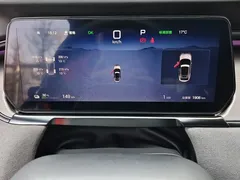 2025 BYD Song L EV 602km 4WD Smart Driving — фото 13