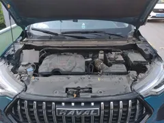 2022 Haval Chitu 1.5T, синий — фото 11