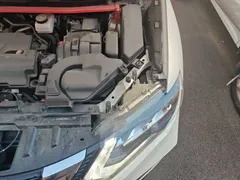2021 Nissan X-Trail 2.0L CVT 2WD XL Premium Commemorative, белый — фото 21