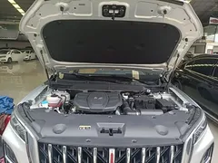 2023 Hongqi HS5 2.0T 4WD Pro — фото 20