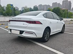 2023 BYD Qin PLUS Champion EV 420km Leading, белый — фото 8