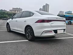 2023 BYD Qin PLUS Champion EV 420km Leading, белый — фото 10