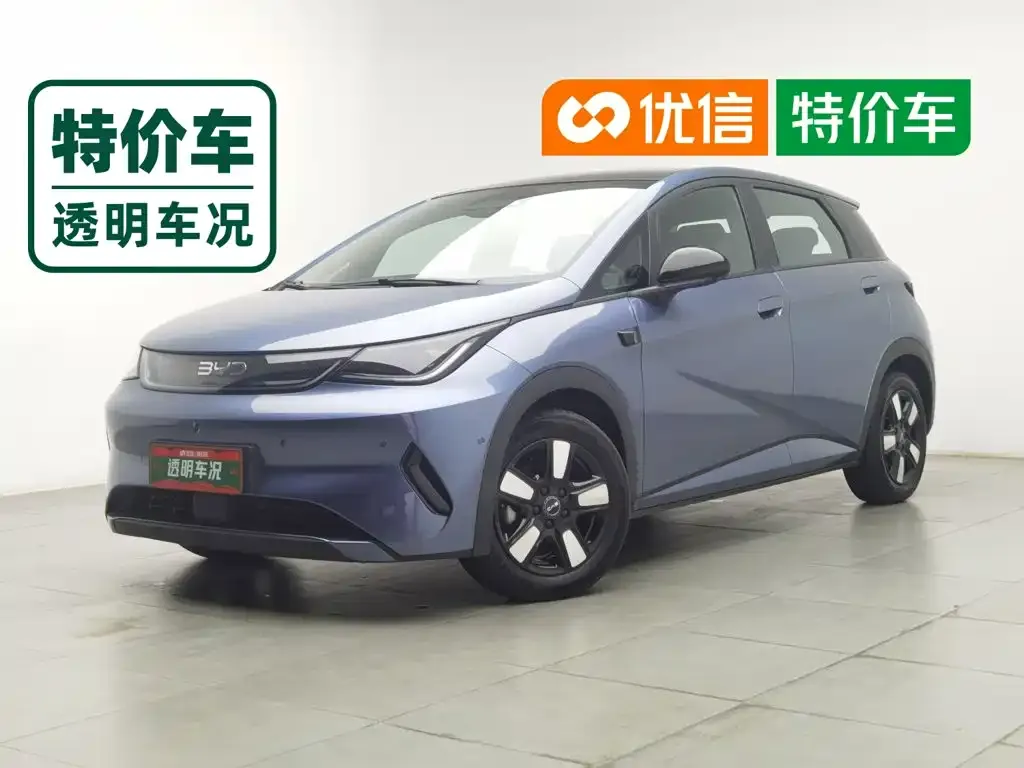 2025 BYD Dolphin Smart Driving 410km Fashion
