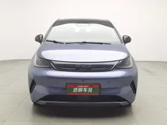 2025 BYD Dolphin Smart Driving 410km Fashion — фото 3