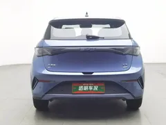 2025 BYD Dolphin Smart Driving 410km Fashion — фото 4