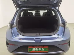 2025 BYD Dolphin Smart Driving 410km Fashion — фото 16