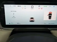 2024 BYD Song L EV 662km Excellence — фото 12