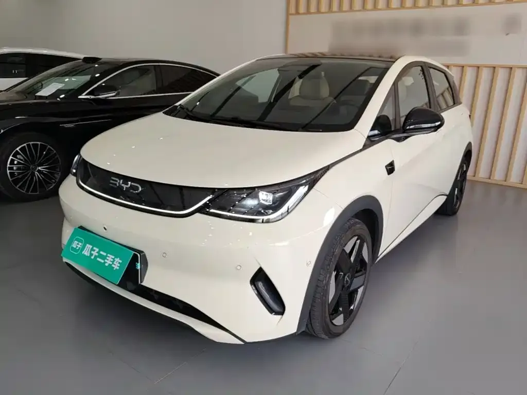 2025 BYD Dolphin EV 520km Smart Driving Knight Edition