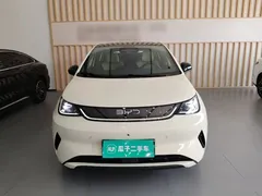 2025 BYD Dolphin EV 520km Smart Driving Knight Edition — фото 3