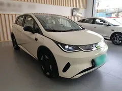 2025 BYD Dolphin EV 520km Smart Driving Knight Edition — фото 4