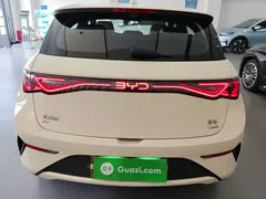 2025 BYD Dolphin EV 520km Smart Driving Knight Edition — фото 6