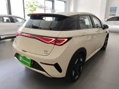 2025 BYD Dolphin EV 520km Smart Driving Knight Edition — фото 7