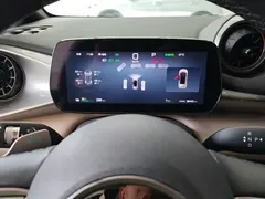 2025 BYD Dolphin EV 520km Smart Driving Knight Edition — фото 12