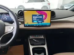 2025 BYD Dolphin EV 520km Smart Driving Knight Edition — фото 13