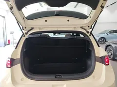 2025 BYD Dolphin EV 520km Smart Driving Knight Edition — фото 19