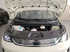 2025 BYD Dolphin EV 520km Smart Driving Knight Edition — фото 20