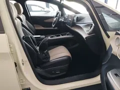 2025 BYD Dolphin EV 520km Smart Driving Knight Edition — фото 25