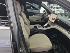 2023 BYD Song Pro Champion DM-i PHEV 110KM Excellence — фото 25