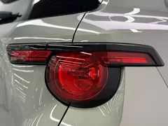 2023 Haval Dargo PLUS 2.0T 2WD Plus — фото 21