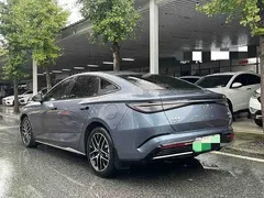 2023 BYD Seal PHEV 1.5T 121km Premium — фото 9