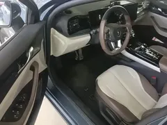 2024 BYD Qin PLUS Honor DM-i PHEV 55km Leading, синий — фото 16