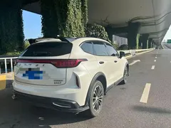 2023 Haval Chitu 1.5T Dynamic, белый — фото 5
