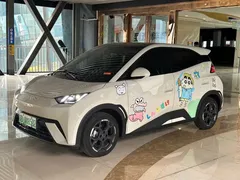 2025 BYD Seagull 305km Freedom, белый — фото 1