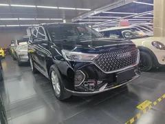2021 Haval M6 Plus 1.5T DCT Elite, чёрный — фото 4