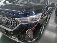 2021 Haval M6 Plus 1.5T DCT Elite, чёрный — фото 24